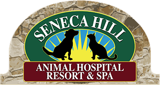 Seneca Hill Animal Hospital, Resort & Spa in Great Falls